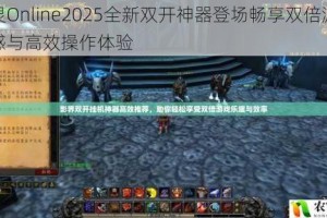 圣灵Online2025全新双开神器登场畅享双倍游戏快感与高效操作体验