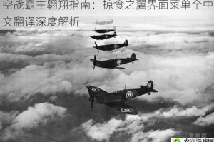 空战霸主翱翔指南：掠食之翼界面菜单全中文翻译深度解析