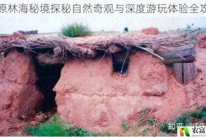 荒原林海秘境探秘自然奇观与深度游玩体验全攻略