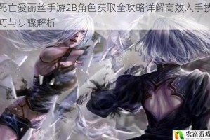 死亡爱丽丝手游2B角色获取全攻略详解高效入手技巧与步骤解析