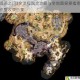 博德之门3全流程图文攻略与全地图探索指南完整收录合集