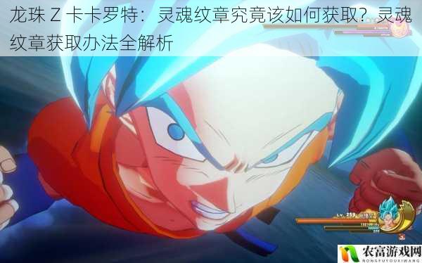 在游戏界,龙珠 Z 卡卡罗特以其精彩的剧情和丰富的玩法吸引了众多玩家。其中,灵魂纹章作为游戏中的重要元素,更是让玩家们为之着迷。据相关数据显示,在游戏上线后的第一个月内,就有超过百万玩家在论坛上询问关于灵魂纹章的获取方法。那么,灵魂纹章究竟该如何获取呢?将从 5 个方面为大家全面解析灵魂纹章的获取办法。
