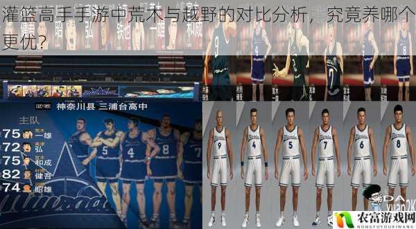 灌篮高手手游中荒木与越野的对比分析,究竟养哪个更优?