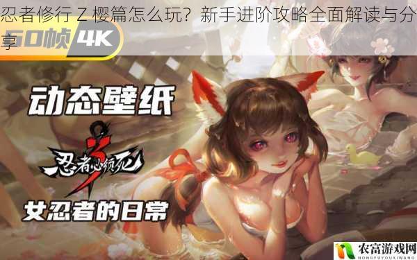 忍者修行 Z 樱篇怎么玩?新手进阶攻略全面解读与分享