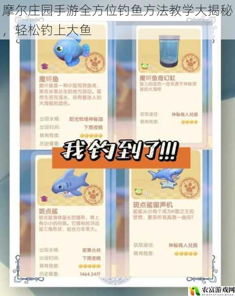 摩尔庄园手游全方位钓鱼方法教学大揭秘,轻松钓上大鱼