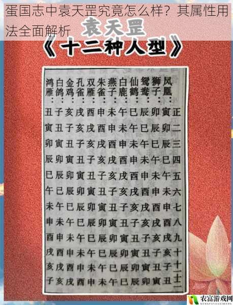 蛋国志中袁天罡究竟怎么样?其属性用法全面解析