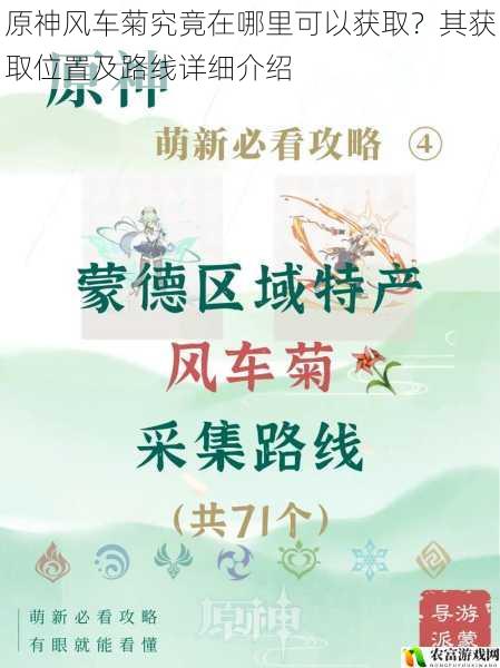 原神风车菊究竟在哪里可以获取?其获取位置及路线详细介绍