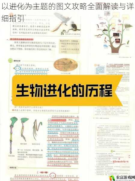 以进化为主题的图文攻略全面解读与详细指引