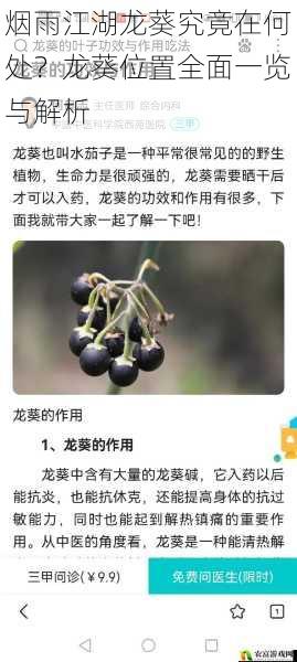 烟雨江湖龙葵究竟在何处?龙葵位置全面一览与解析