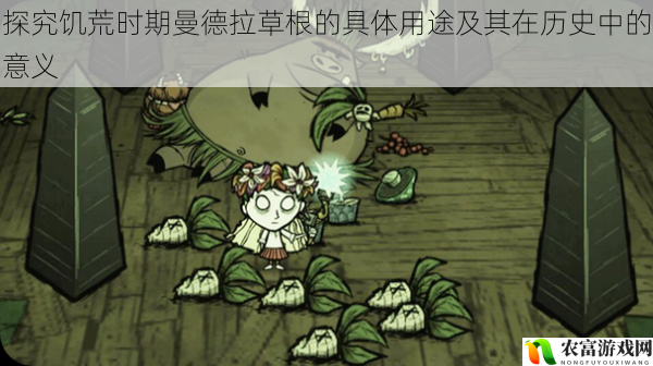 探究饥荒时期曼德拉草根的具体用途及其在历史中的意义
