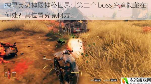 探寻英灵神殿神秘世界:第二个 boss 究竟隐藏在何处?其位置究竟何方?