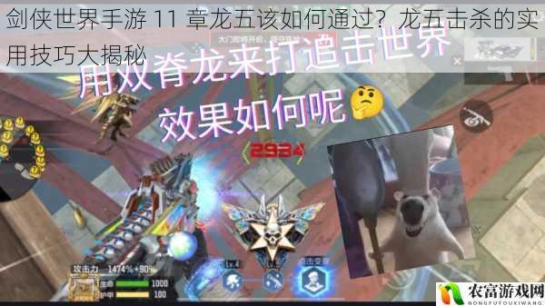 剑侠世界手游 11 章龙五该如何通过?龙五击杀的实用技巧大揭秘