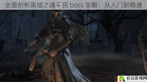 全面剖析黑暗之魂平民 boss 攻略:从入门到精通