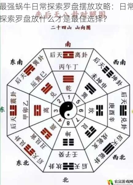 最强蜗牛日常探索罗盘摆放攻略:日常探索罗盘放什么才是最佳选择?
