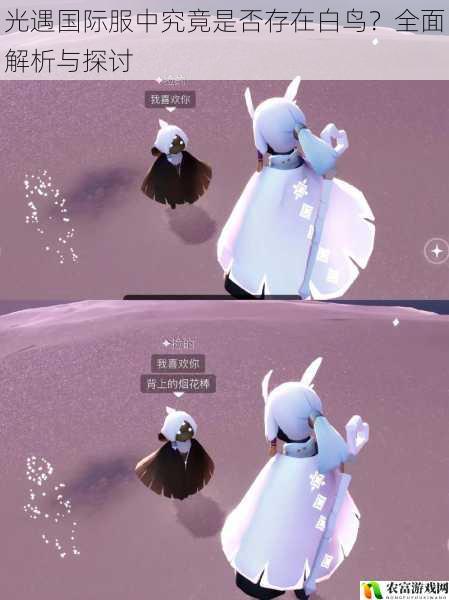 光遇国际服中究竟是否存在白鸟?全面解析与探讨