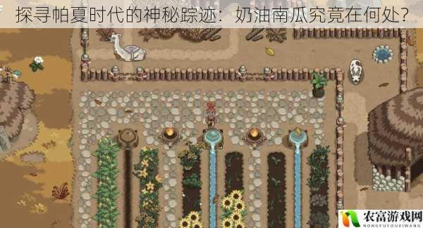 探寻帕夏时代的神秘踪迹:奶油南瓜究竟在何处?