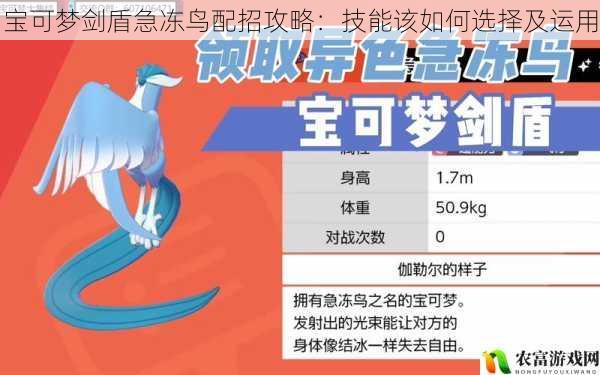 宝可梦剑盾急冻鸟配招攻略:技能该如何选择及运用