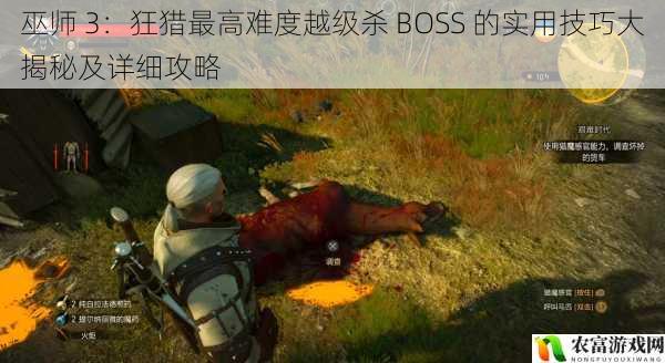 巫师 3:狂猎最高难度越级杀 BOSS 的实用技巧大揭秘及详细攻略