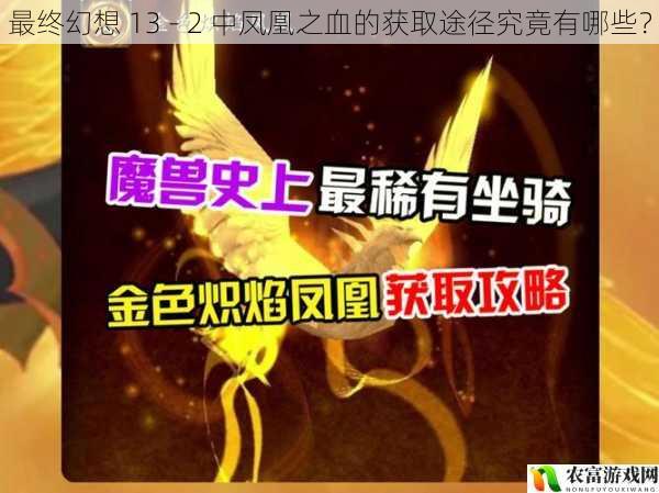 最终幻想 13 - 2 中凤凰之血的获取途径究竟有哪些?