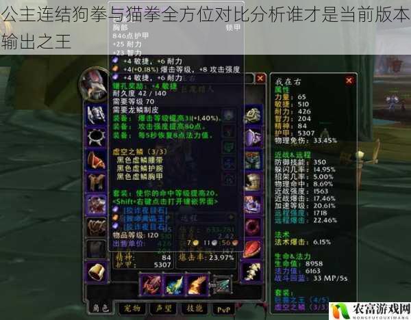 公主连结狗拳与猫拳全方位对比分析谁才是当前版本输出之王