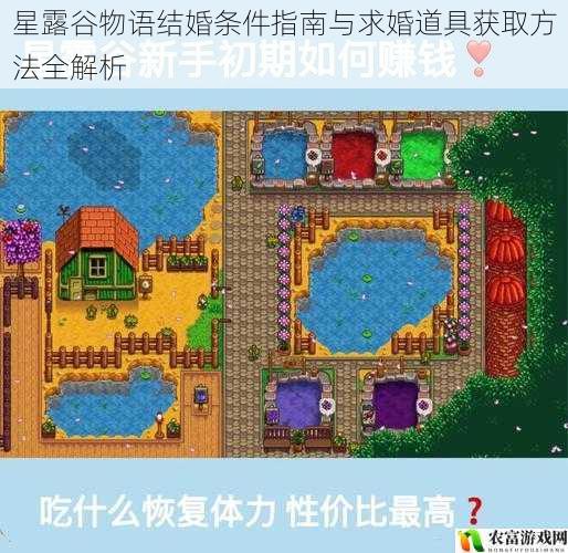 星露谷物语结婚条件指南与求婚道具获取方法全解析