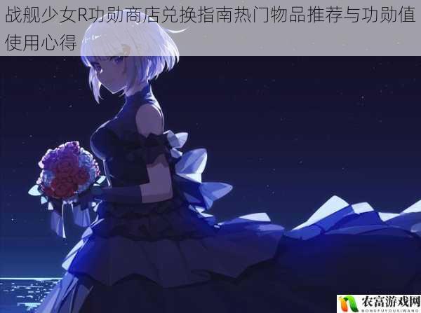 战舰少女R功勋商店兑换指南热门物品推荐与功勋值使用心得