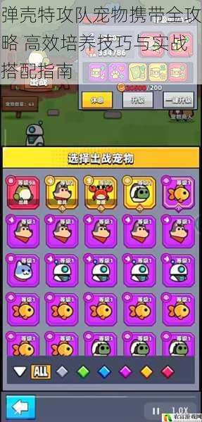 弹壳特攻队宠物携带全攻略 高效培养技巧与实战搭配指南