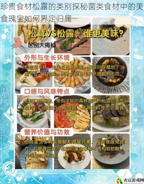 珍贵食材松露的类别探秘菌类食材中的美食瑰宝如何界定归属