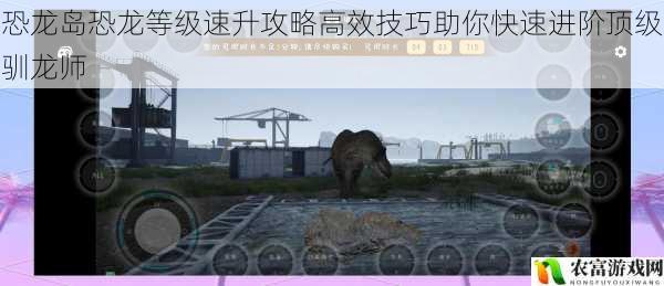 恐龙岛恐龙等级速升攻略高效技巧助你快速进阶顶级驯龙师