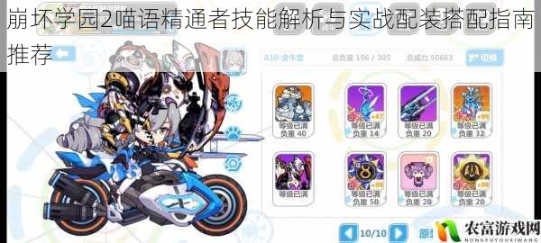 崩坏学园2喵语精通者技能解析与实战配装搭配指南推荐