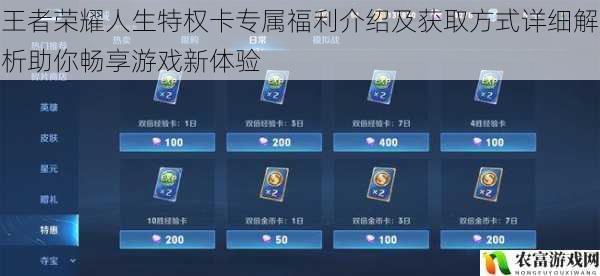 王者荣耀人生特权卡专属福利介绍及获取方式详细解析助你畅享游戏新体验