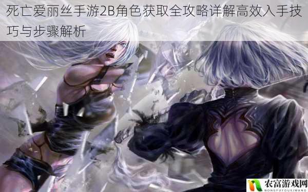 死亡爱丽丝手游2B角色获取全攻略详解高效入手技巧与步骤解析