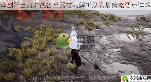弈剑行苗刀对战各兵器技巧解析及实战策略要点详解
