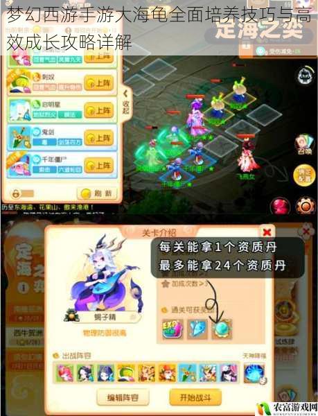 梦幻西游手游大海龟全面培养技巧与高效成长攻略详解