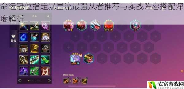 命运冠位指定暴星流最强从者推荐与实战阵容搭配深度解析