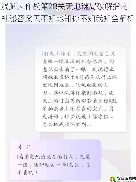 烧脑大作战第28关天地谜局破解指南 神秘答案天不知地知你不知我知全解析