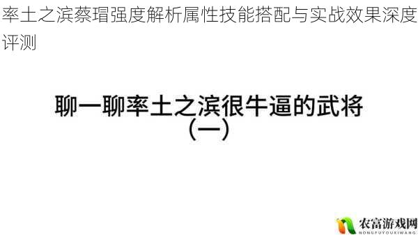 率土之滨蔡瑁强度解析属性技能搭配与实战效果深度评测