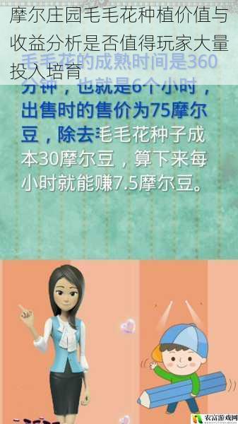 摩尔庄园毛毛花种植价值与收益分析是否值得玩家大量投入培育