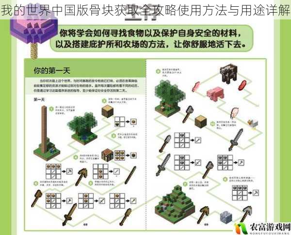 我的世界中国版骨块获取全攻略使用方法与用途详解