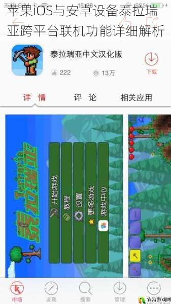 苹果iOS与安卓设备泰拉瑞亚跨平台联机功能详细解析