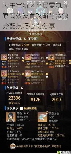 大主宰新区平民零氪玩家高效发育攻略与资源分配技巧心得分享