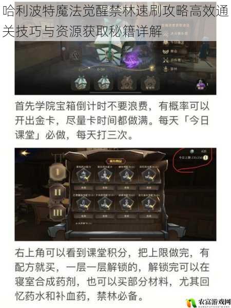 哈利波特魔法觉醒禁林速刷攻略高效通关技巧与资源获取秘籍详解