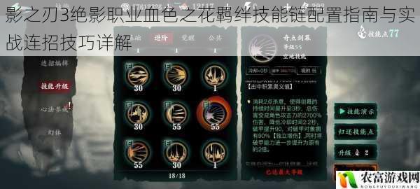 影之刃3绝影职业血色之花羁绊技能链配置指南与实战连招技巧详解
