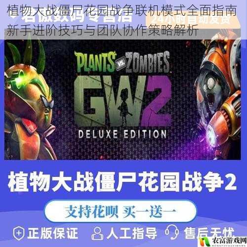 植物大战僵尸花园战争联机模式全面指南 新手进阶技巧与团队协作策略解析