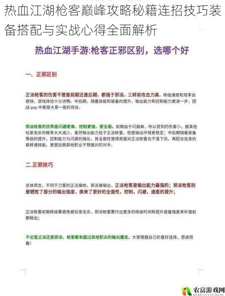 热血江湖枪客巅峰攻略秘籍连招技巧装备搭配与实战心得全面解析