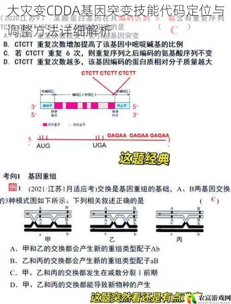 大灾变CDDA基因突变技能代码定位与调整方法详细解析