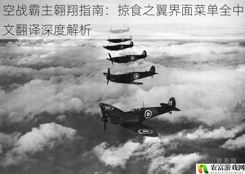 空战霸主翱翔指南:掠食之翼界面菜单全中文翻译深度解析