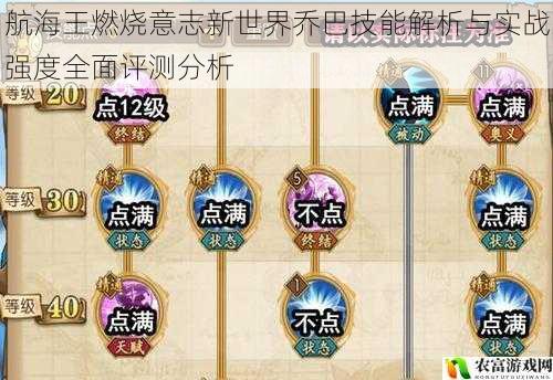 航海王燃烧意志新世界乔巴技能解析与实战强度全面评测分析