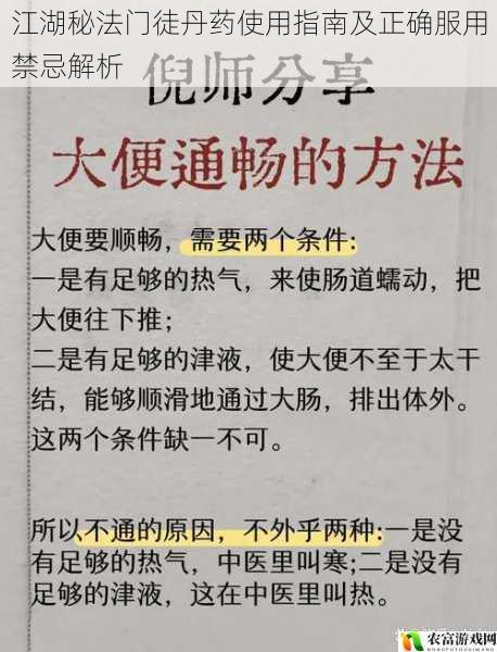 江湖秘法门徒丹药使用指南及正确服用禁忌解析
