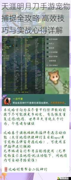 天涯明月刀手游宠物捕捉全攻略 高效技巧与实战心得详解